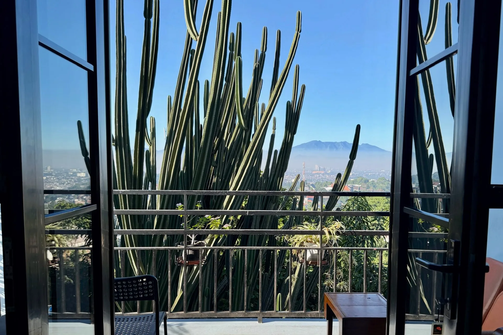 Balcony view through tall cacti out to the Bandung cityscape and distant mountain ridges